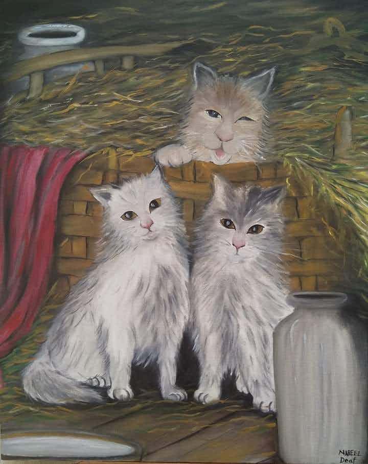 3 Cats