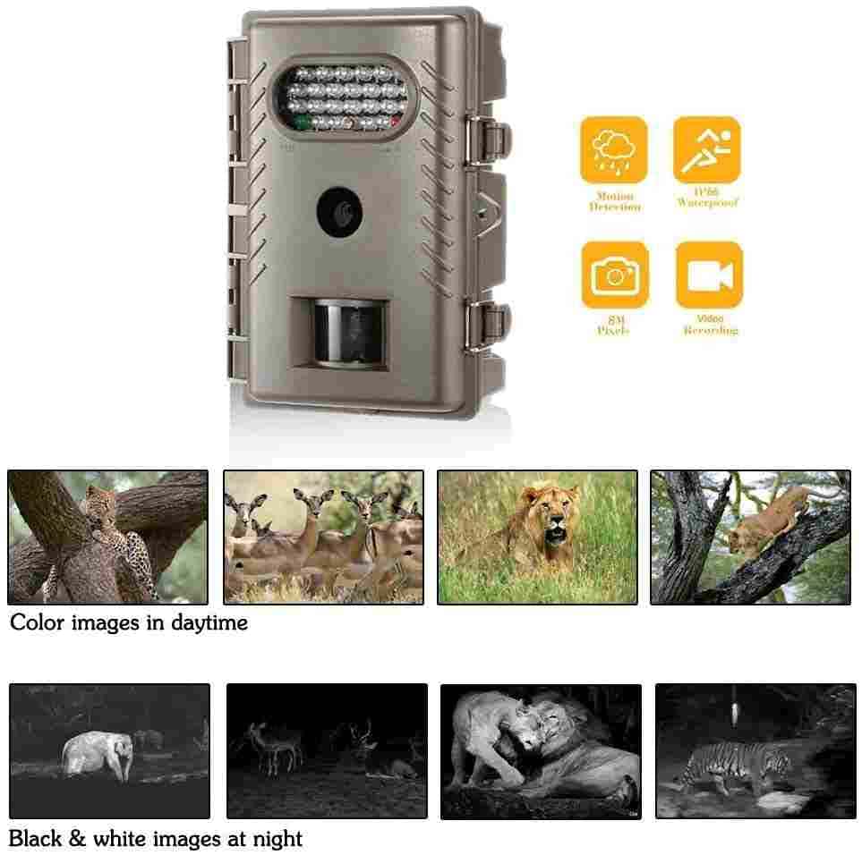 
Low Glow Night Vision Infrared Fast Trigger 720p Digital Trail Camera
